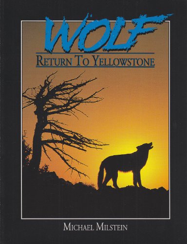 Beispielbild fr Wolf: Return to Yellowstone zum Verkauf von Wonder Book
