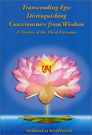 Beispielbild fr Transcending Ego: Distinguishing Consciousness from Wisdom zum Verkauf von GF Books, Inc.