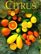 Stock image for Citrus: Complete Guide to Selecting & Growing More Than 100 Varieties for California, Arizona Texas, the Gulf Coast and Florida (Illustrated) for sale by HPB-Movies