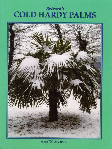 9780962976162: Betrock's Cold Hardy Palms