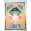 Stock image for Goodbye Old Friend: A Pictorial Essay on the Final Season at Old Comiskey Park for sale by Open Books