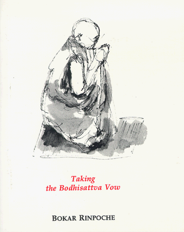 Beispielbild fr Taking the Bodhisattva Vow zum Verkauf von BooksRun
