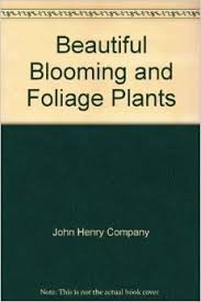 Beispielbild fr Beautiful Blooming and Foliage Plants zum Verkauf von Wonder Book