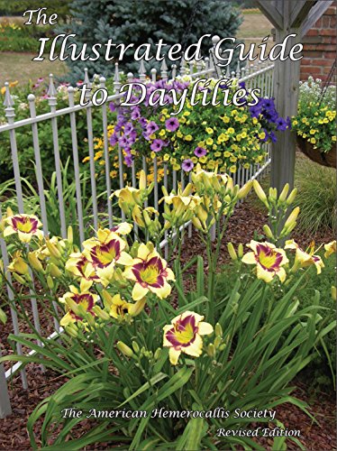 Stock image for The Illustrated Guide to Daylilies for sale by HPB-Ruby