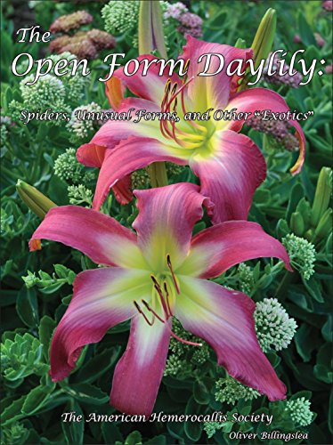 Stock image for The Open Form Daylily for sale by Affordable Collectibles