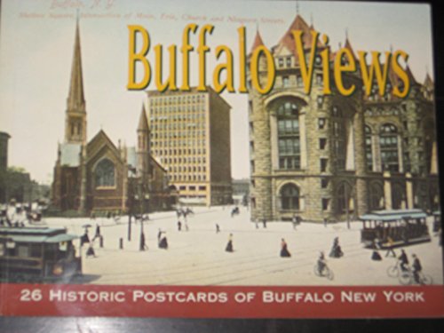 Buffalo Views