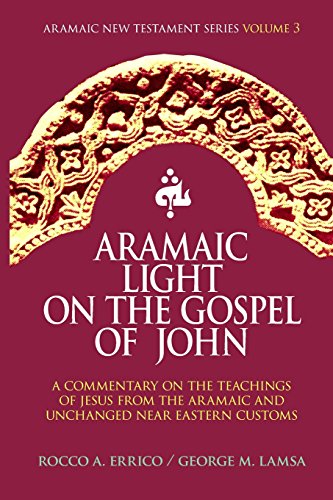 Stock image for Aramaic Light on the Gospel of John (Aramaic New Testament Series) (Volume 3) for sale by HPB-Diamond