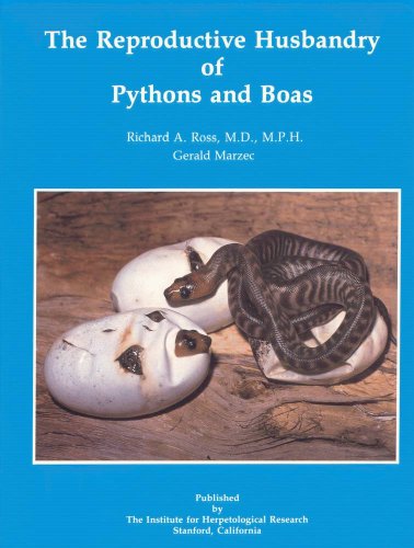 9780963147004: Reproductive Husbandry of Pythons and Boas