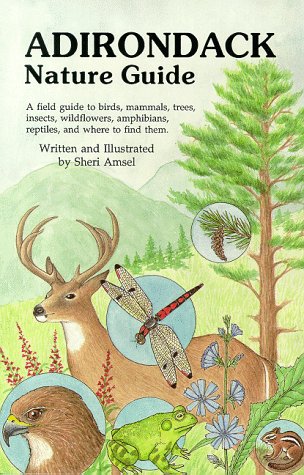Stock image for The Adirondack Nature Guide: A Field Guide for sale by ThriftBooks-Atlanta