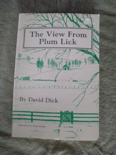 Imagen de archivo de The View from Plum Lick a la venta por HPB-Diamond