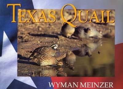 Stock image for Texas Quail for sale by HPB-Diamond