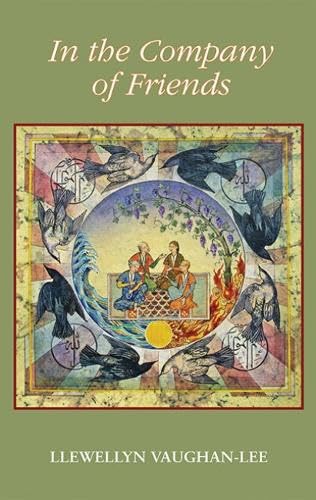 9780963457417: In the Company of Friends: Dreamwork Within a Sufi Group