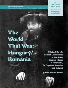 Beispielbild fr The World That Was: Hungary And Romania zum Verkauf von Open Books