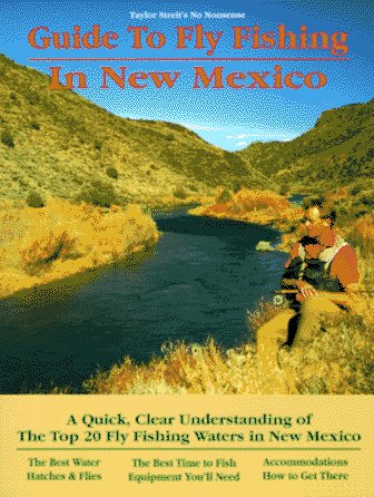 Stock image for Taylor Streit's No Nonsense Guide to Fly Fishing in New Mexico for sale by Blair Books & Antiques