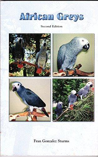 Stock image for African Greys for sale by Half Price Books Inc.