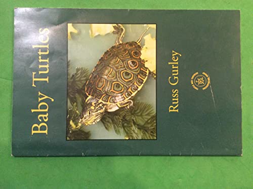 Beispielbild fr Baby Turtles zum Verkauf von Half Price Books Inc.