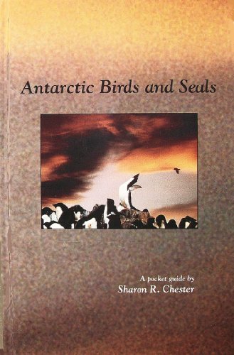 Stock image for Antarctic Birds and Seals: A Pocket Guide for sale by ThriftBooks-Dallas