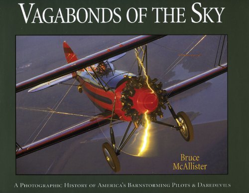 Beispielbild fr Vagabonds of the Sky zum Verkauf von Better World Books