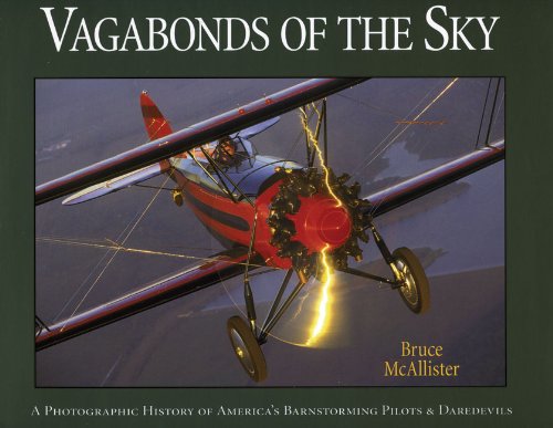 Stock image for Vagabonds of the Sky for sale by Better World Books