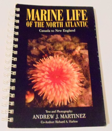 9780964013100: Marine Life of the North Atlantic: Canada to New England