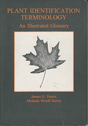 Imagen de archivo de Plant Identification Terminology: An Illustrated Glossary a la venta por GF Books, Inc.