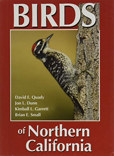 Beispielbild fr Birds of Northern California zum Verkauf von BooksRun