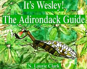 Stock image for It's Wesley! : The Adirondack Guide for sale by Better World Books