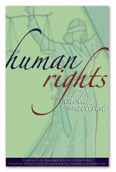 9780964202337: Human Rights: The Scholar as Activist