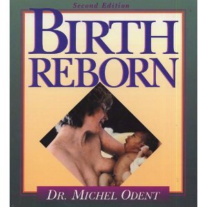 Beispielbild fr Birth Reborn zum Verkauf von BooksRun