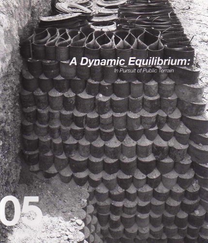 Beispielbild fr A Dynamic Equilibrium: In Pursuit of Public Terrain zum Verkauf von RZabasBooks