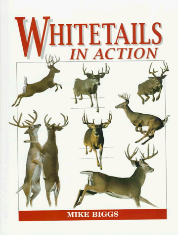 Stock image for Whitetails in Action for sale by Better World Books