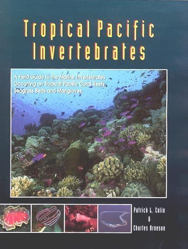 Beispielbild fr Tropical Pacific Invertebrates: A Field Guide to Marine Invertebrates Occurring on Tropical Pacific Ocean Coral Reefs, Seagrass Beds, & Mangroves zum Verkauf von ThriftBooks-Dallas