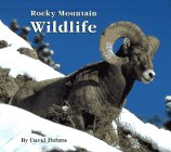 Stock image for Rocky Mountain Wildlife for sale by Better World Books: West