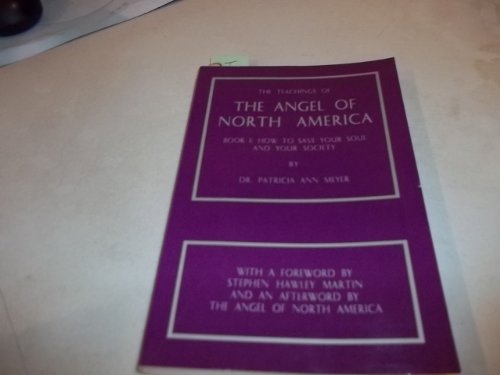 9780964660106: The Teachings of the Angel of North America: Book I: How to Save Your Soul and Your Society