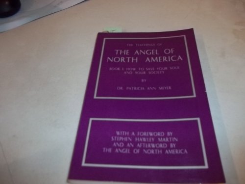 Stock image for The Teachings of the Angel of North America Bk. 1 : How to Save Your Soul and Your Society for sale by Better World Books