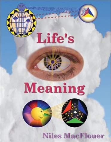 Stock image for Life's Hidden Meaning for sale by Front Cover Books