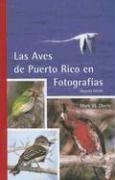 Las Aves de Puerto Rico en Fotografías (Spanish Edition)