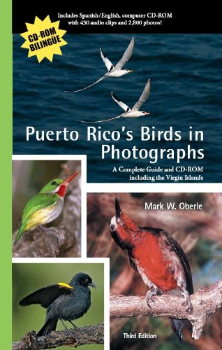 Stock image for Puerto Rico's Birds in Photographs: A Complete Guide Including the Virgin Islands: With CD-ROM [With CDROM] for sale by HPB Inc.