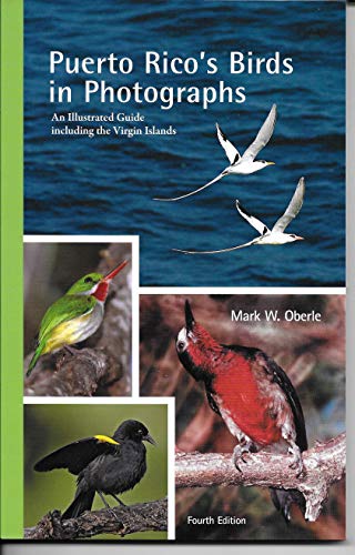 Stock image for Puerto Rico's Birds in Photographs: An Illustrated Guide Including the Virgin Islands, 4th Edition for sale by Idaho Youth Ranch Books