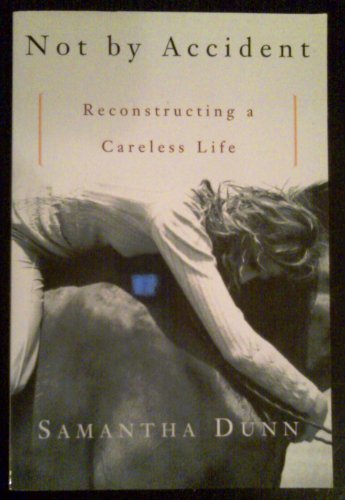 9780965364843: Not by Accident : Reconstructing a Careless Life