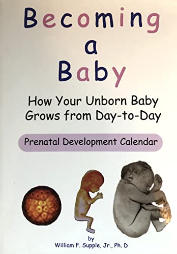 Imagen de archivo de Becoming a Baby: How Your Baby Grows from Day-to-Day a la venta por Once Upon A Time Books