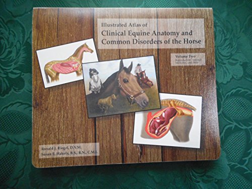 Stock image for Illustrated Atlas of Clinical Equine Anatomy and Common Disorders of the Horse Vol. 2 : Reproduction, Internal Medicine and Skin for sale by Bingo Books 2