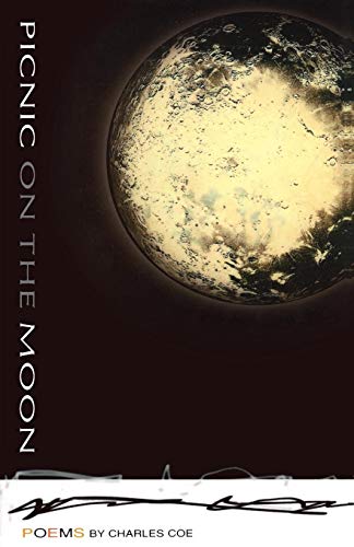 Beispielbild fr Picnic on the Moon zum Verkauf von Better World Books