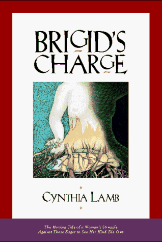 9780965469418: Brigid's Charge