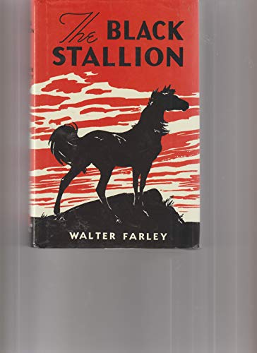 9780965476027: BLACK STALLION