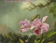 Martin Johnson Heade: A Survey : 1840-1900