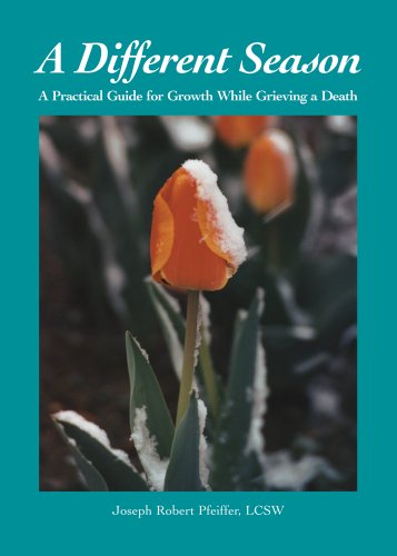 Imagen de archivo de A Different Season: A Practical Guide for Growth While Grieving A Death a la venta por Once Upon A Time Books