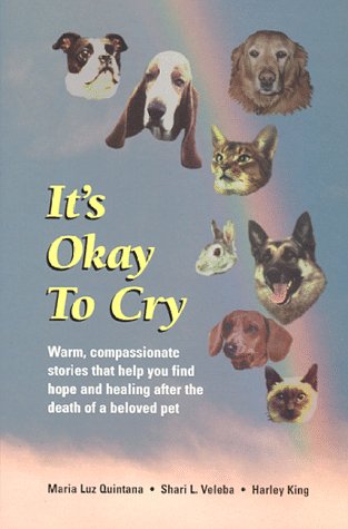 Imagen de archivo de It's Okay To Cry a la venta por BookHolders