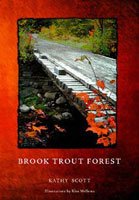 Stock image for Brook Trout Forest for sale by ThriftBooks-Atlanta
