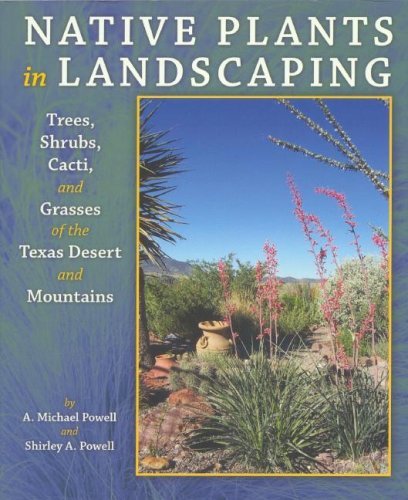 Stock image for Native Plants in Landscaping: Trees, Shrubs, Cacti, And Grasses of the Texas Desert And Mountains for sale by Half Price Books Inc.